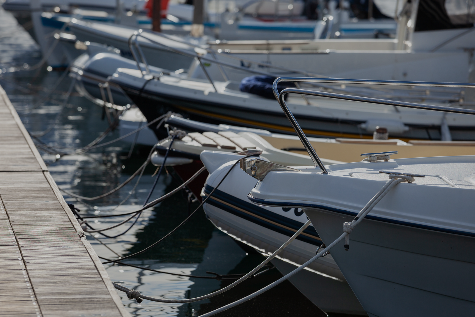 Charter boats lined up at a dock, ready for guests, conveying a professional start-to-finish experience.