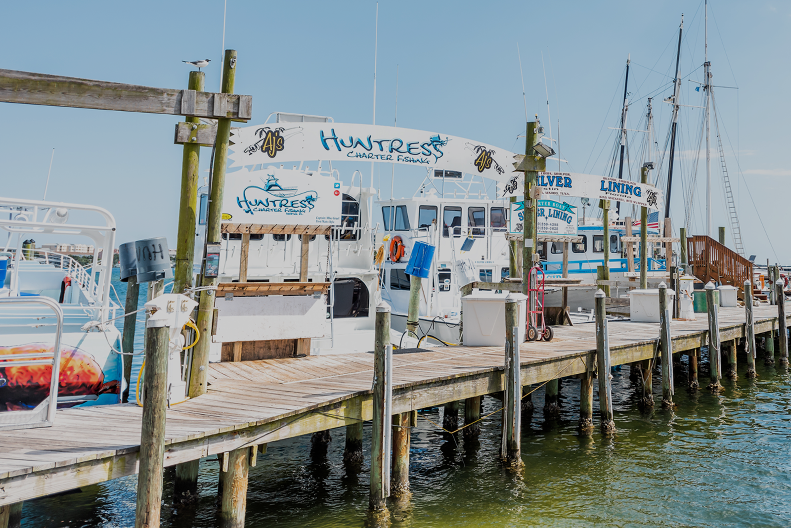 Dock with boats lined up, symbolizing different captain’s license types and maritime opportunities.