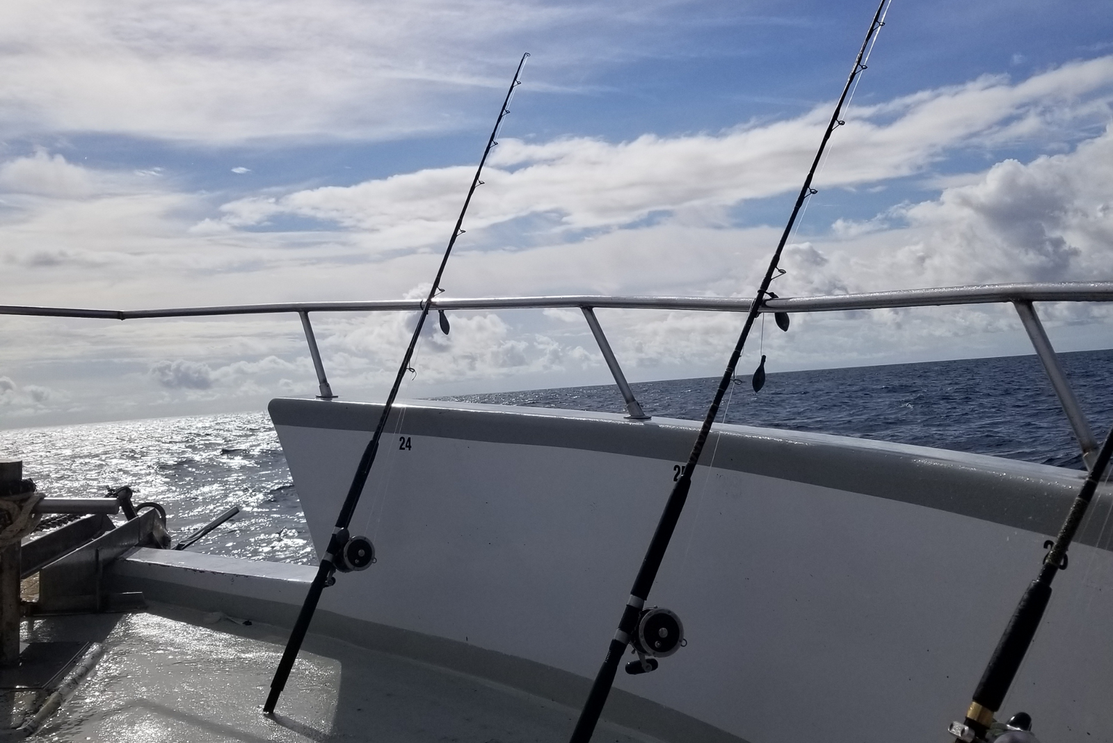 Fishing rods secured on a charter boat railing overlooking the ocean under a bright blue sky.