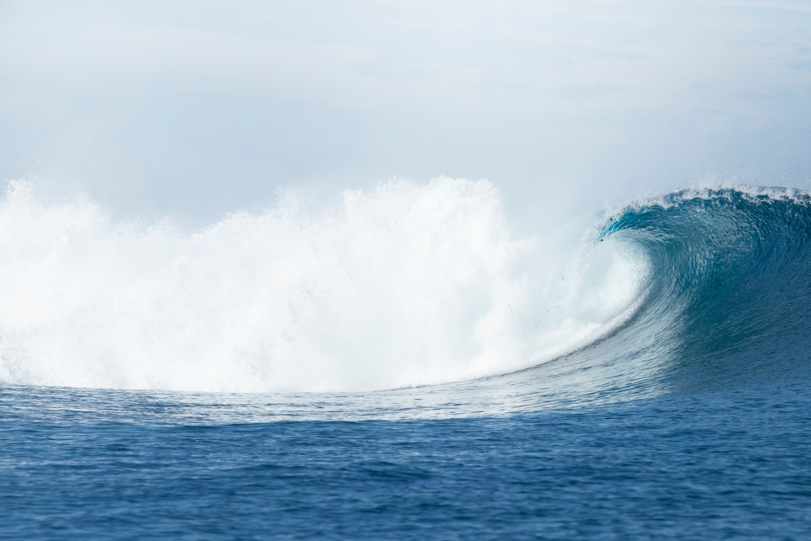 A large ocean wave begins to curl with white foam at the crest, under a clear blue sky.