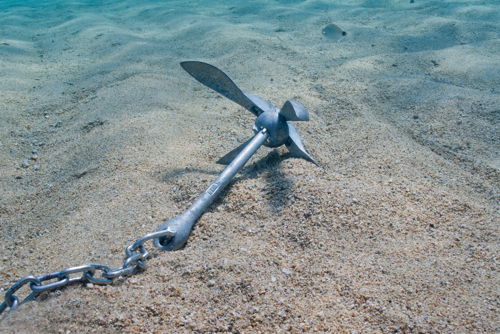 A silver boat anchor rests on the seafloor, representing where you should avoid anchoring.