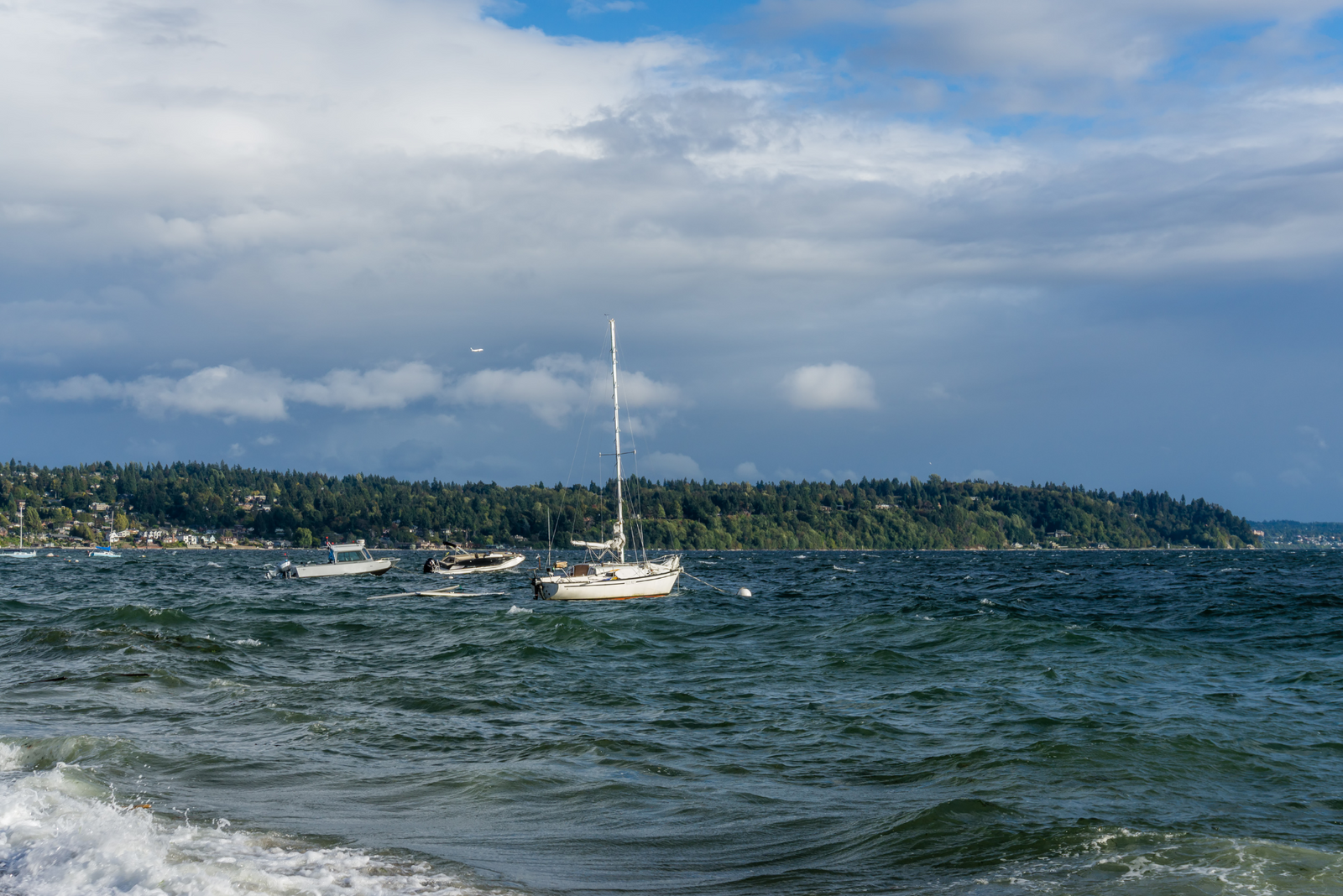 Sailboats anchored in choppy waters on a cloudy day with a forested shoreline and blue sky in the background.