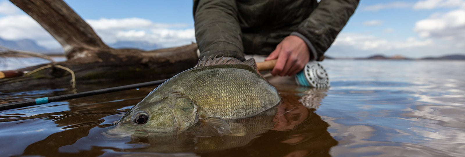 Release 360 | Catch the Moment, Release the Future